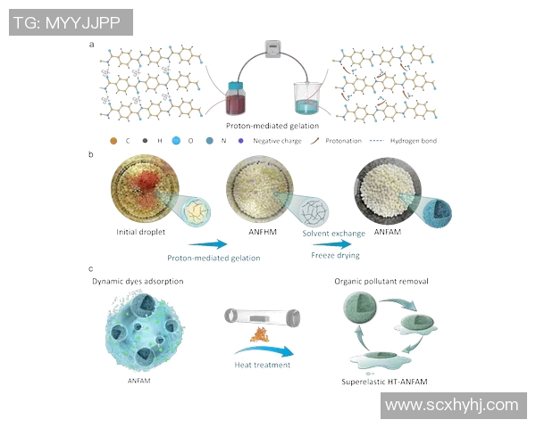 创新净水材料的研发与应用探索：提升水质净化效率与可持续发展路径